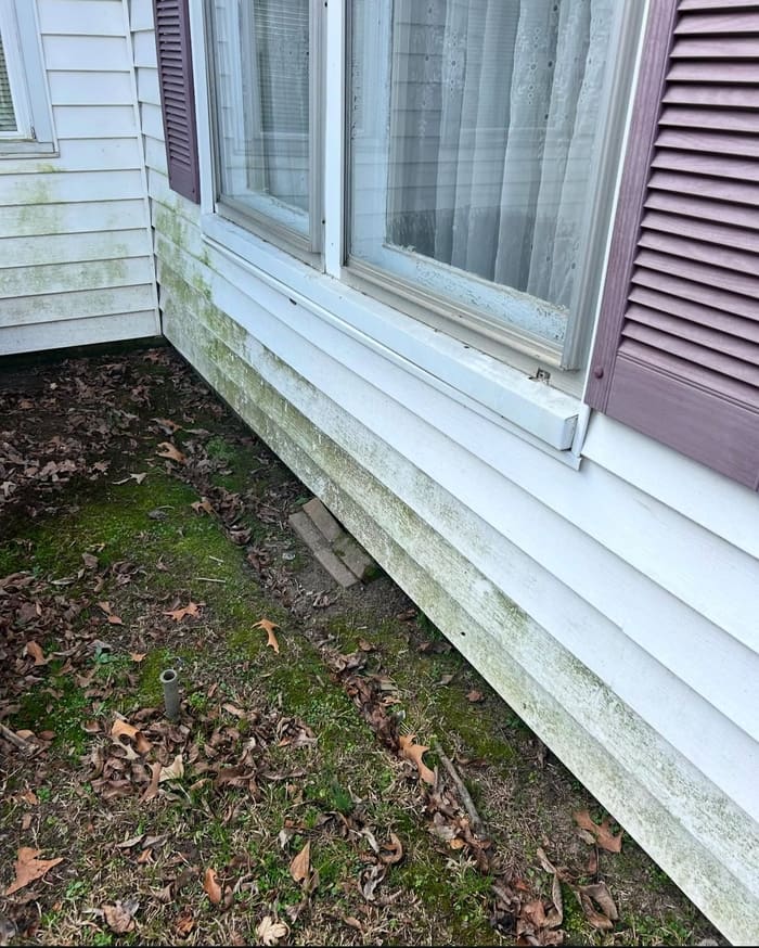 White siding with green algae before soft washing in Athens, GA