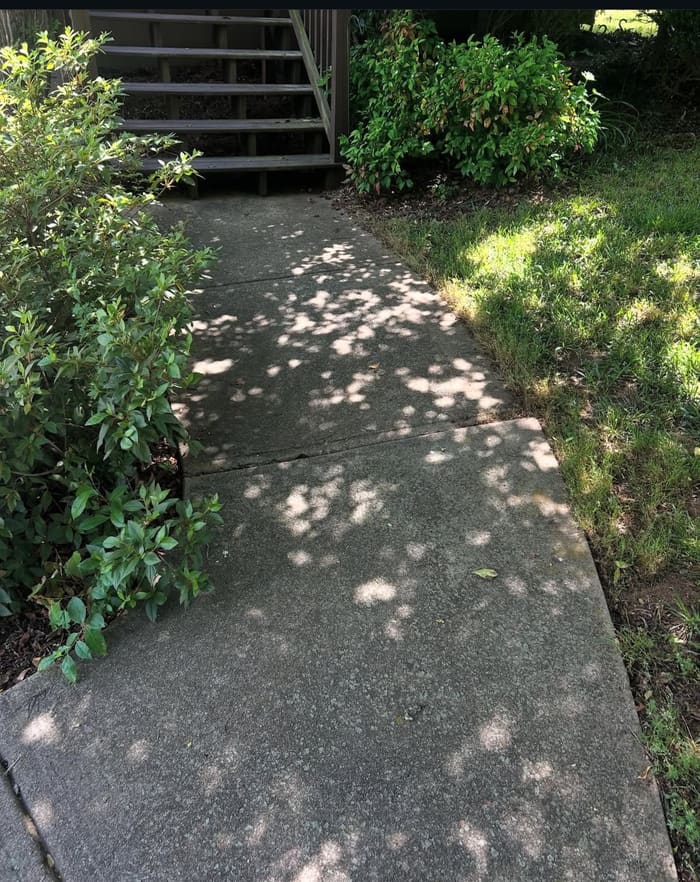 Dark stained sidewalk before pressure washing in Athens, GA