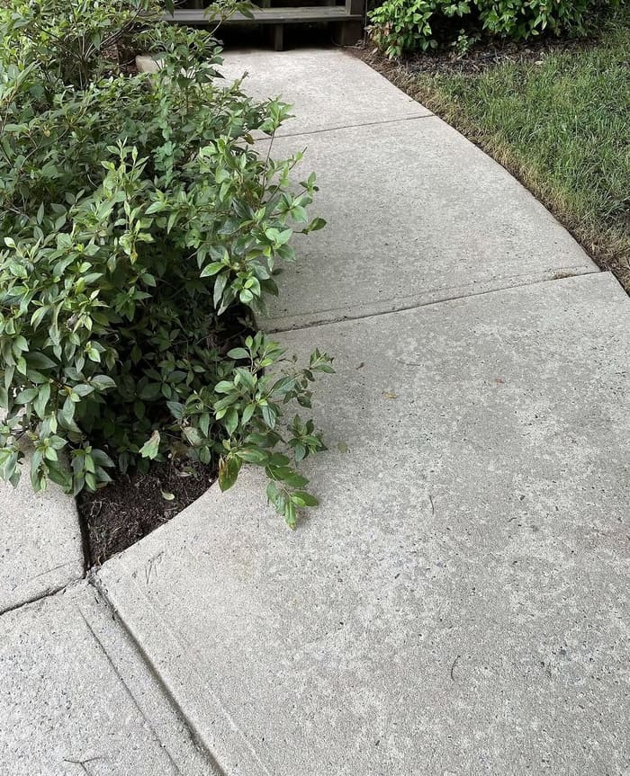 Clean bright sidewalk after pressure washing in Athens, GA