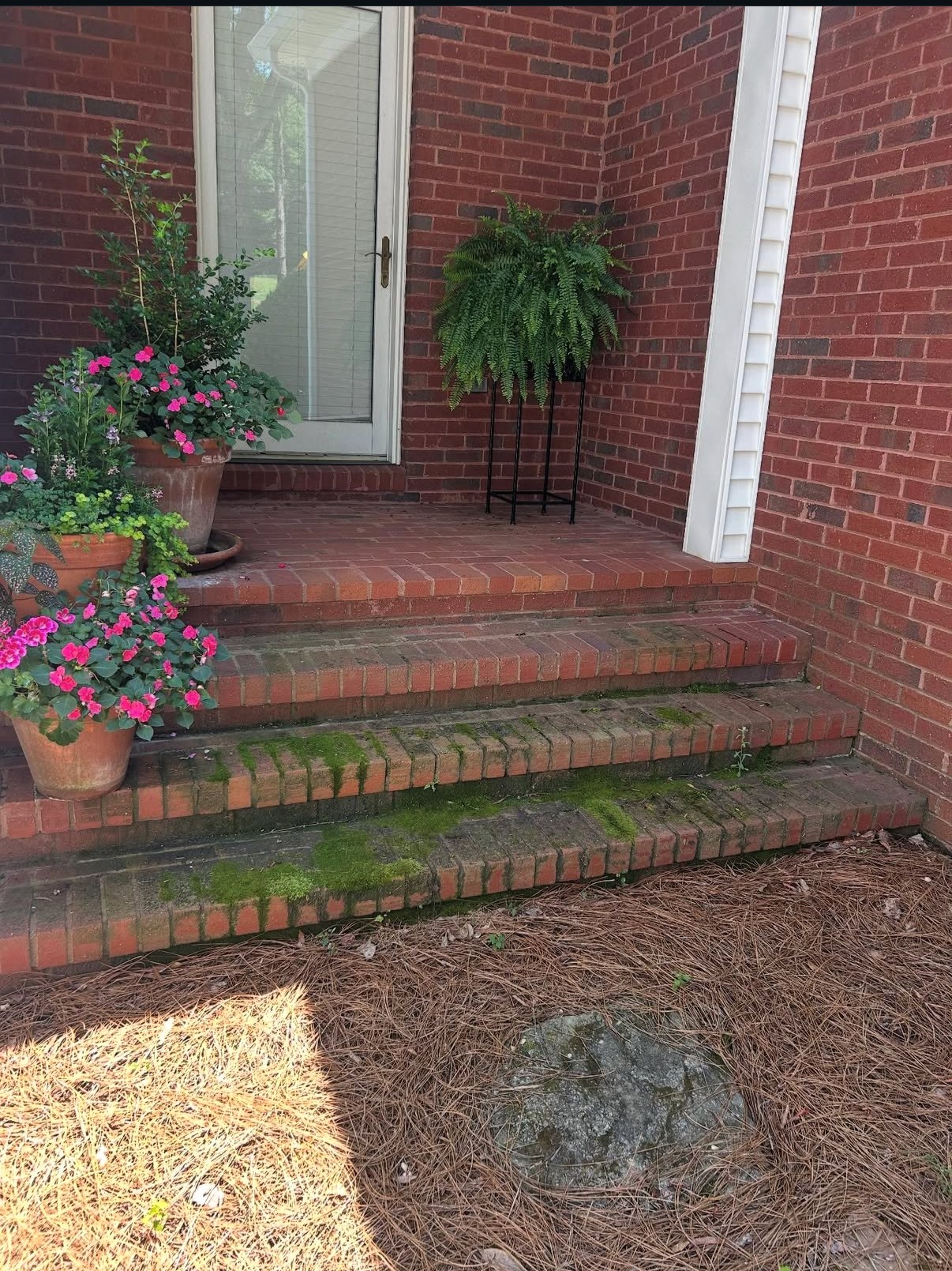Brick steps with moss and algae before cleaning in Athens, GA