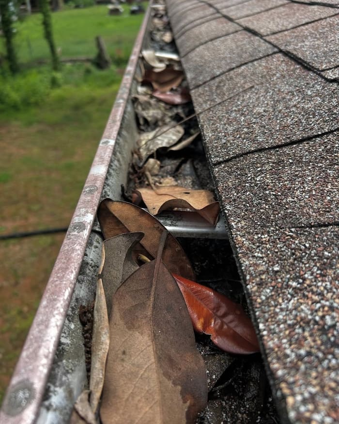 Dirty gutters before gutter cleaning in Athens, GA