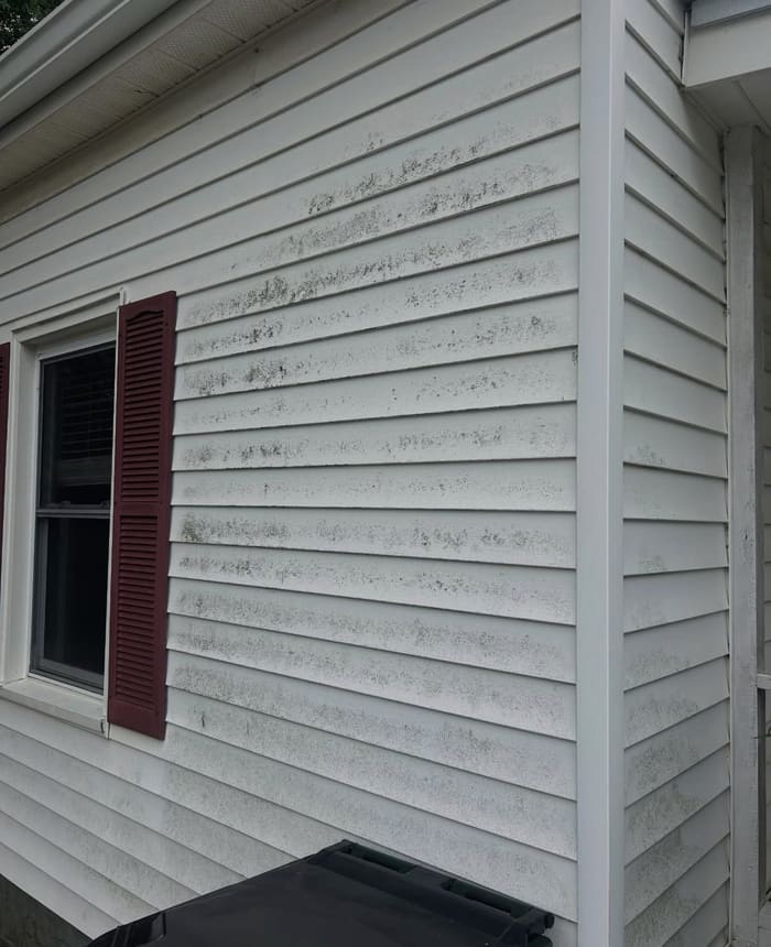 Siding with mold and mildew before soft washing in Athens, GA
