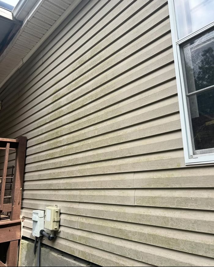 Beige siding with stains and mildew before house washing in Athens, GA